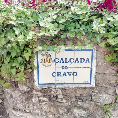 Semesterbostad Casa Do Cravo Santo Isidoro